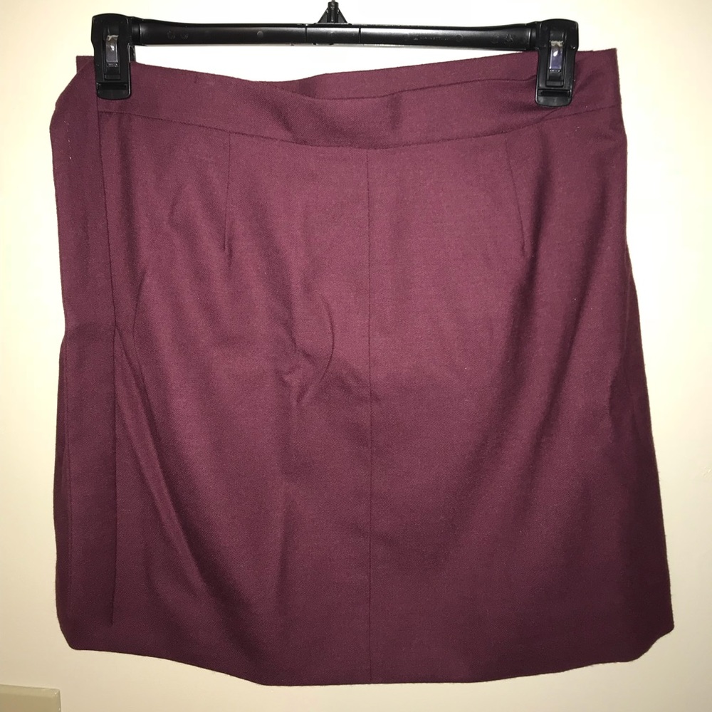 Cute and Professional JCrew skirt